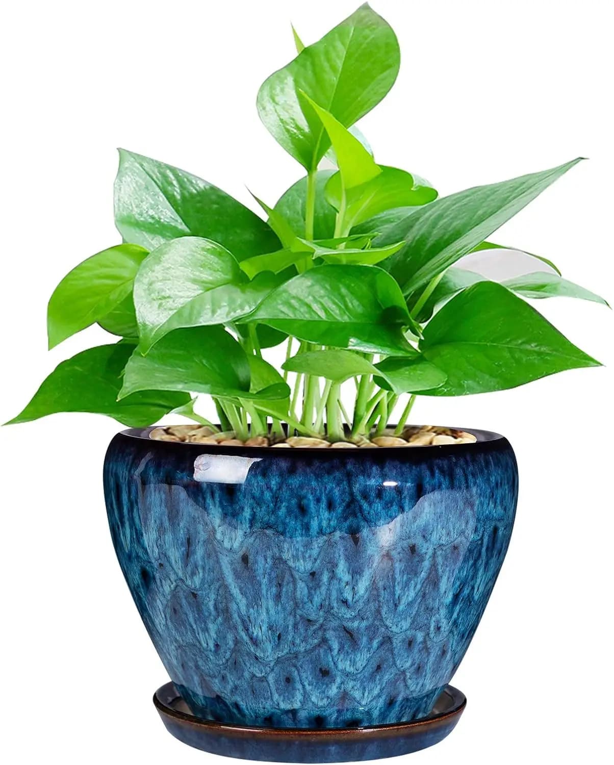 Vaso Moderno in Ceramica per Piante Grasse con Foro di Drenaggio e Sottovaso, Vaso Rotondo da 6 Pollici per Piante da Interno ed Esterno
