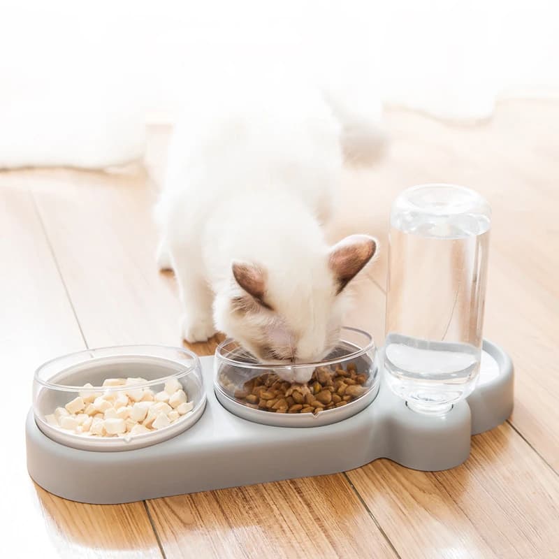 Ciotola per alimenti per animali domestici all'ingrosso Alimentatore per cani e gatti Alimentatore a due ciotole con fontana d'acqua per ciotola per gatti e cani