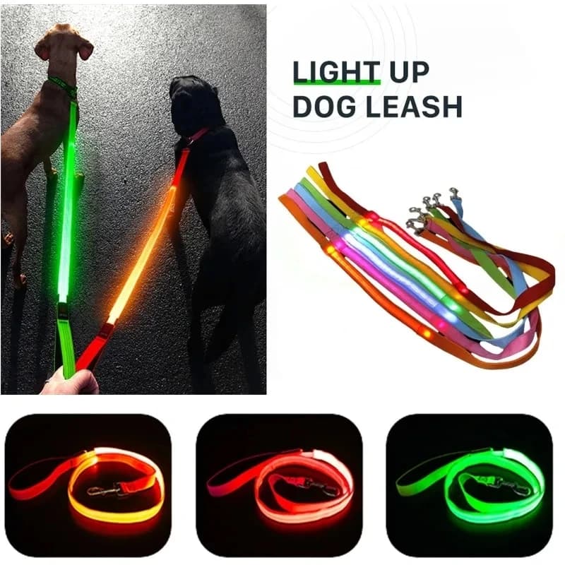 Corda per guinzaglio per cani da compagnia a LED con guinzaglio luminoso leggero Ricarica USB per accessori per imbracatura per collare luminoso lampeggiante di sicurezza per cani