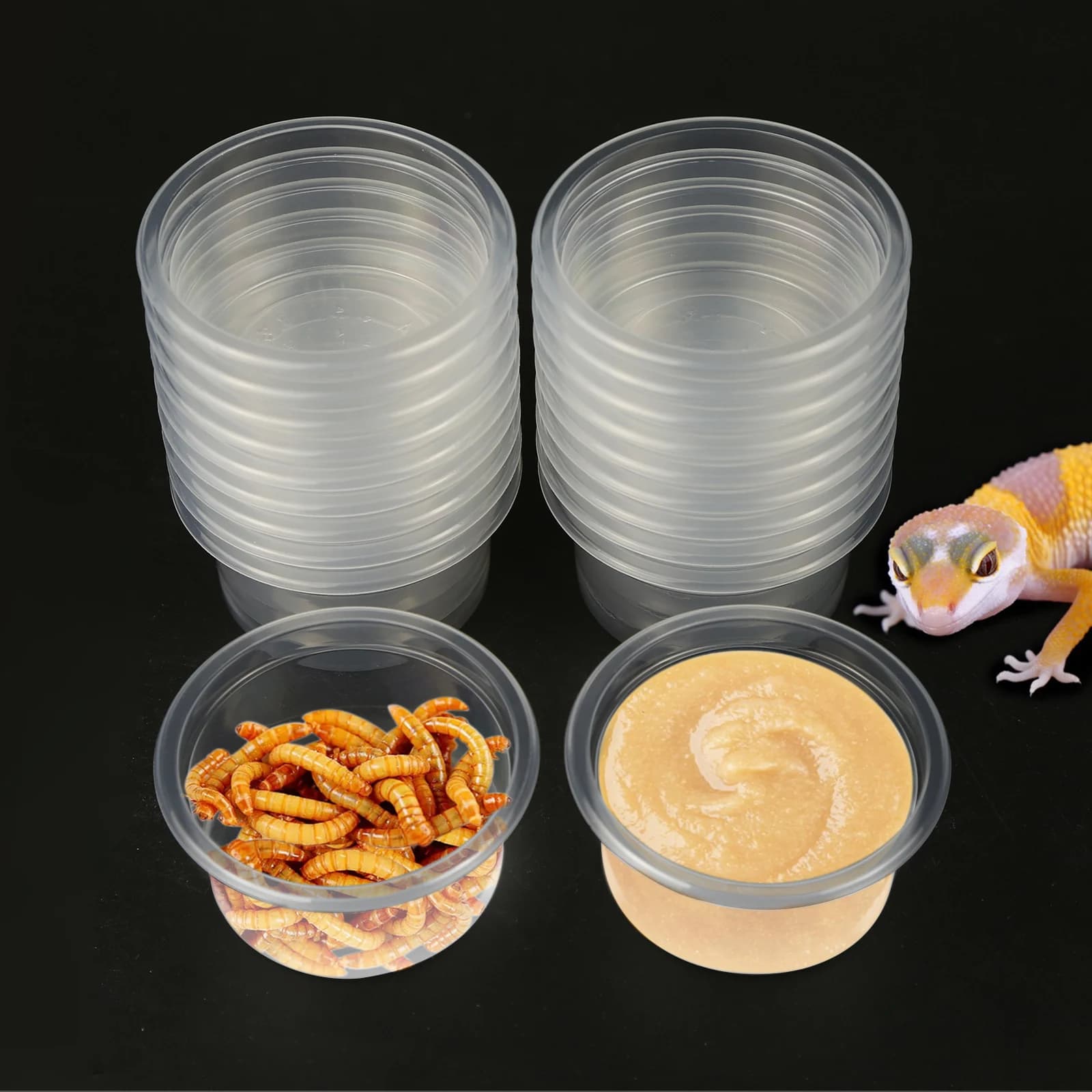 20 pezzi, tazza di plastica per alimenti e acqua Gecko, ciotola di ricambio per ciotola per rettili, adatta per lucertole e altri piccoli animali domestici