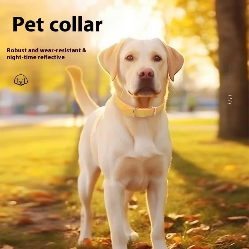 Fashion Adjustable Dog Leash Collar Reflective Pet Supplies Collars Waterproof Collar Metal Buckle for Big Dog