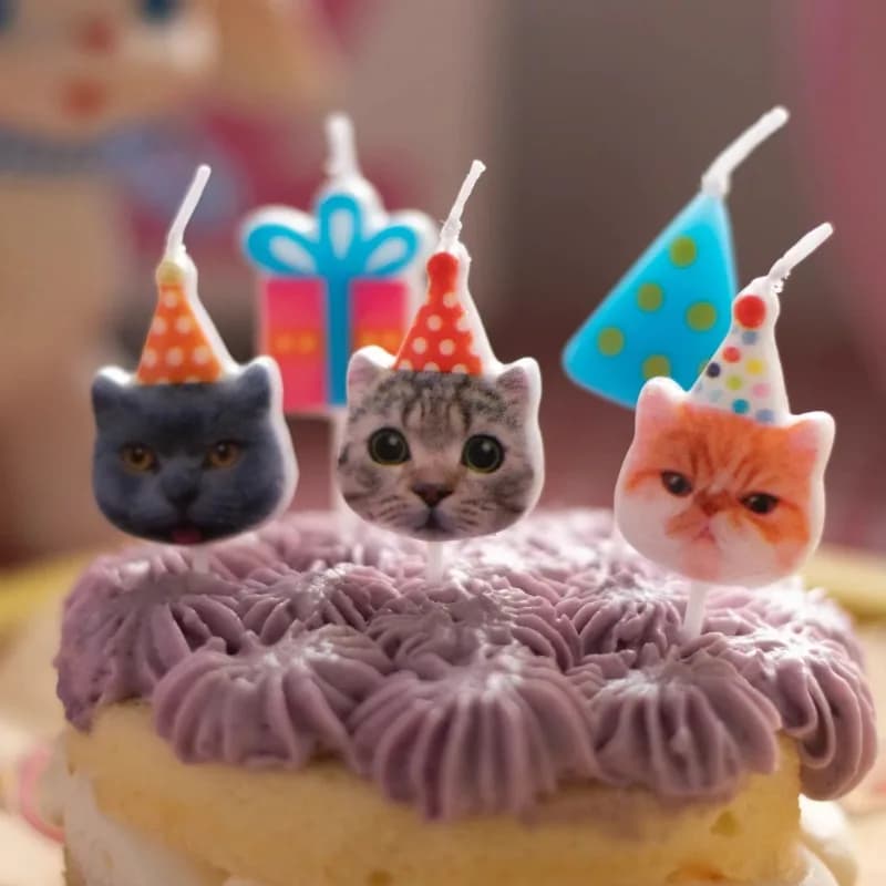 Candele di compleanno per gatti Decorazione per torta di compleanno per animali domestici Confezione regalo per gatti Candele Decorazione per torta da forno per feste di compleanno per bambini