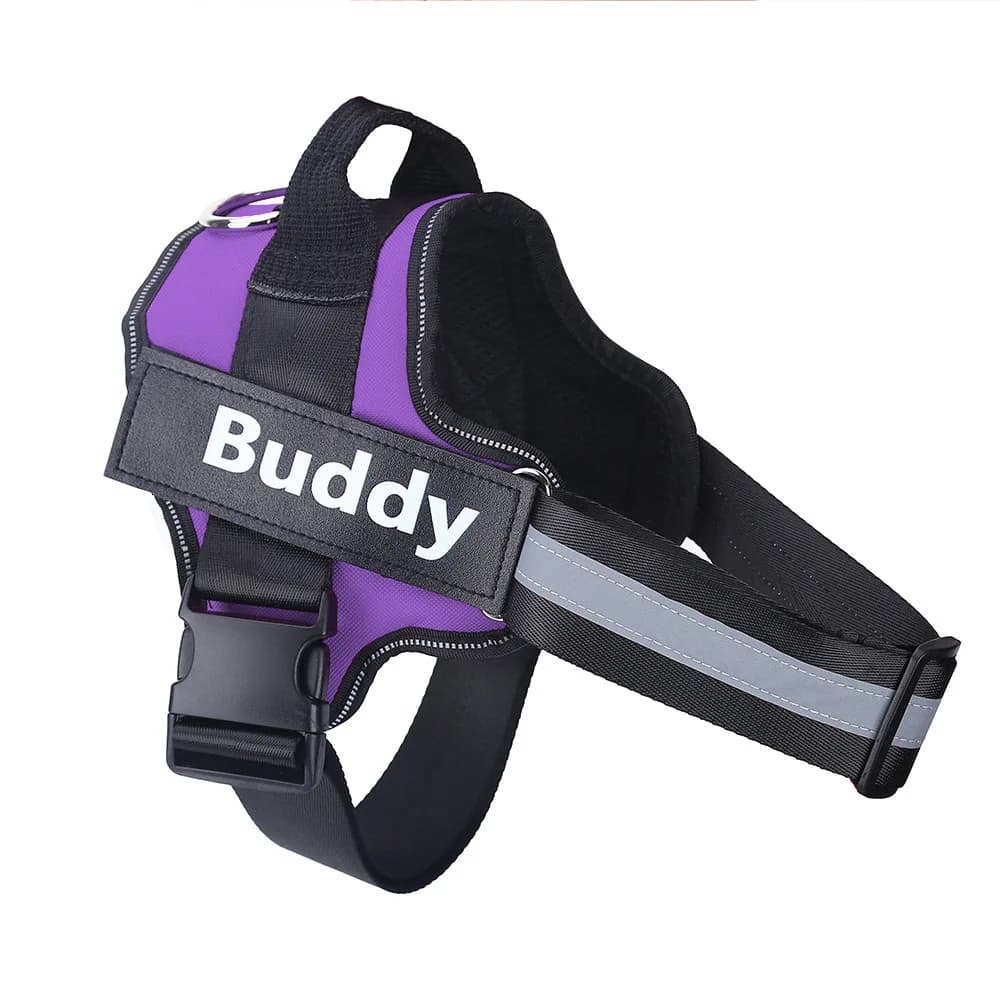 Gilet per imbracatura per cani traspirante riflettente personalizzato, imbracatura per animali domestici regolabile, toppa identificativa, senza trazione, all'aperto