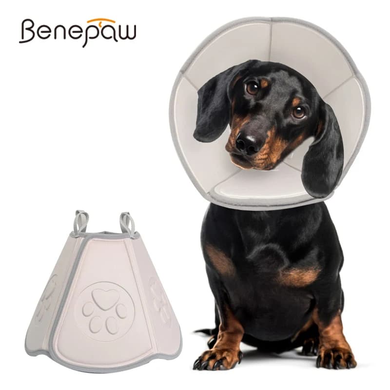 Benepaw comodo collare a cono per animali domestici per cani E gatti dopo l'intervento chirurgico collare elettronico regolabile protettivo Anti leccare graffi ferite