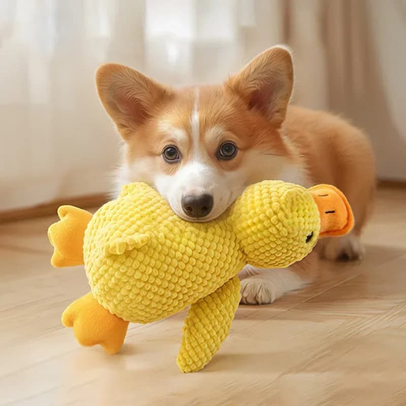 New toy for dogs and cats in the shape of ananas velvet duck, bicolor, resistant to bite, in plush with sound, pet accessories