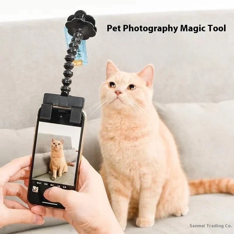 Pet Selfie Stick Supporto per telefono Cat Dog Attenzione Grabber Strumento per fotografia virale Pawrents Must Have Supporto per fotocamera Sfumetti carini