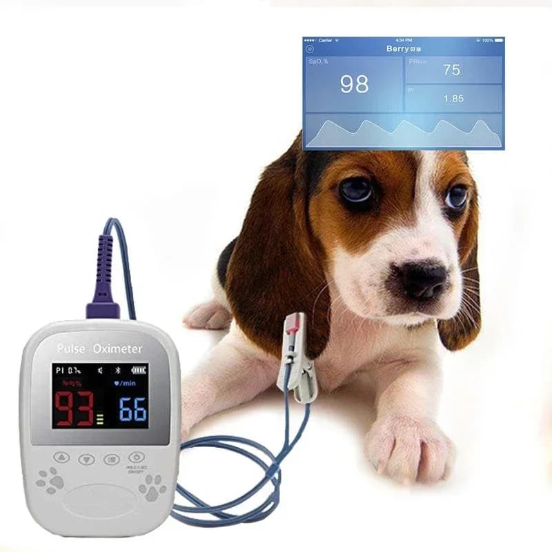 Berry AM1000A Palm portable automatic Spo2 for small animals and veterinary pulse oximeter with heart rate