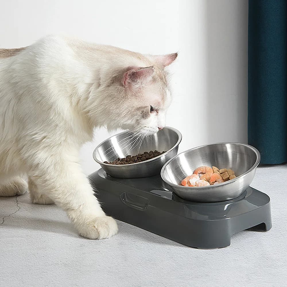 Stainless Steel Cat Food Bowl with Stand Adjustable Water Cup Cat Dog Drinking Feeder Non-Slip 15° Tilted Single Double Bowls