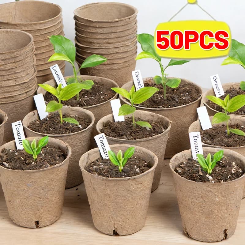 10/50 Biodegradable Vase Parts in Polpa per Semenzai con Fori di Drenaggio, Vasi da Vivaio per Piante da Giardino e Fiori, Trassoi per Germination dei Semi