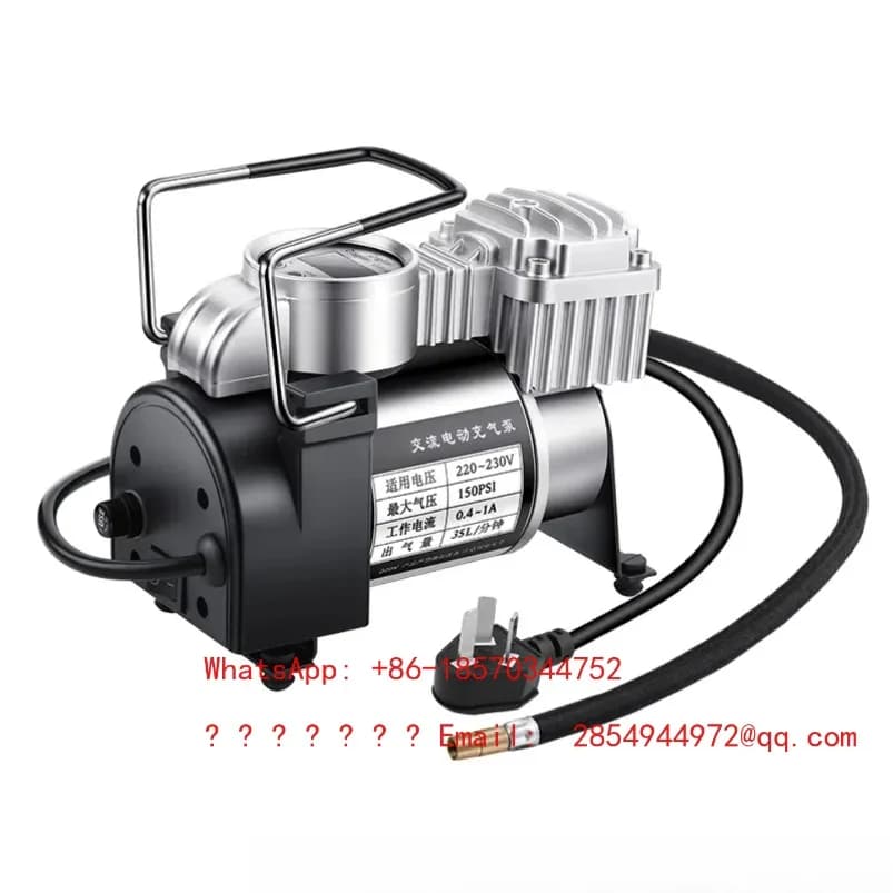Pompa ad aria elettrica domestica a doppio cilindro 220V 2026