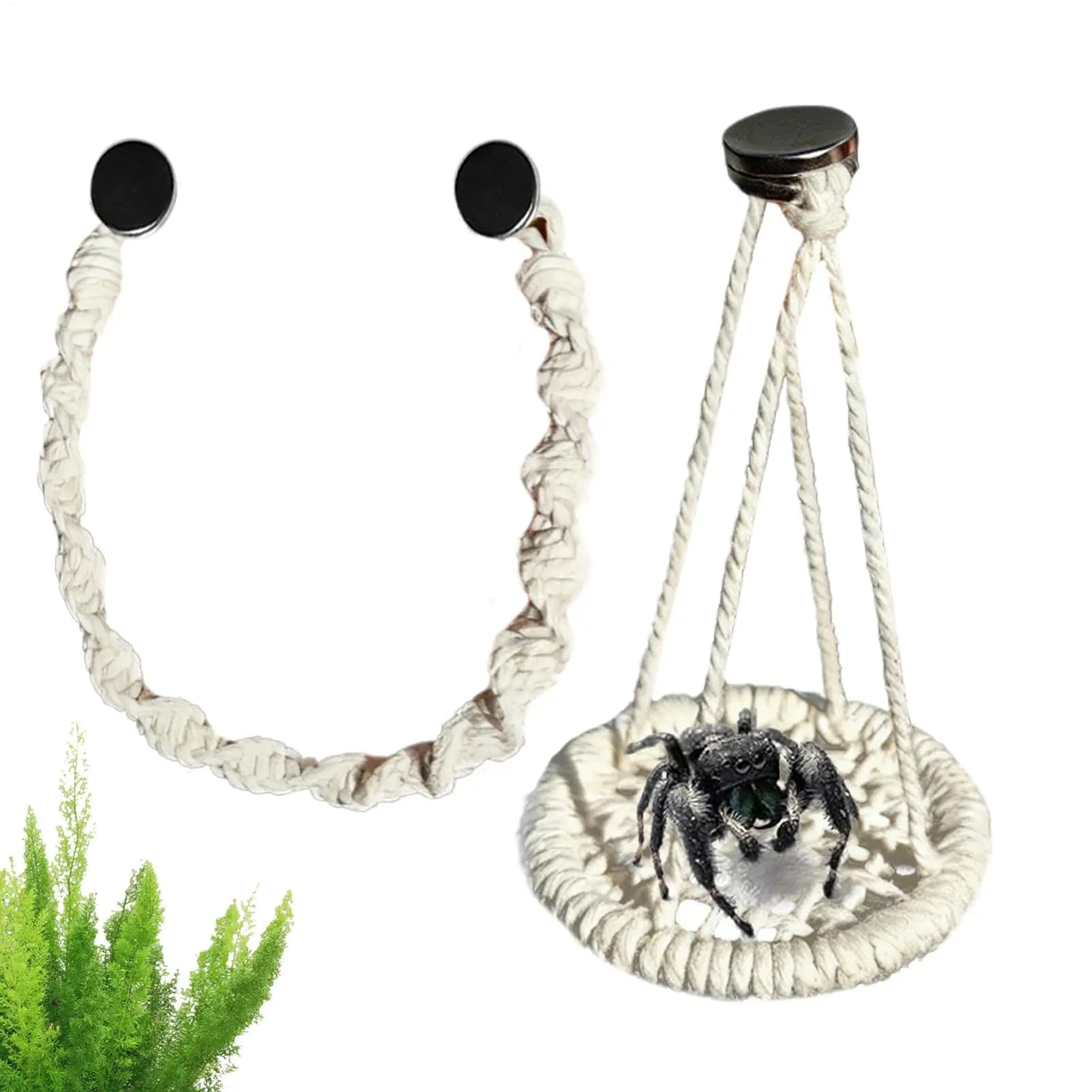 Accessories for Terrarium: Amaca Suspended in Corda for Spider Jumpers, Ragni Jumpers Habitat Accessories, for Gechi Breeding and Terrarium Reptiles