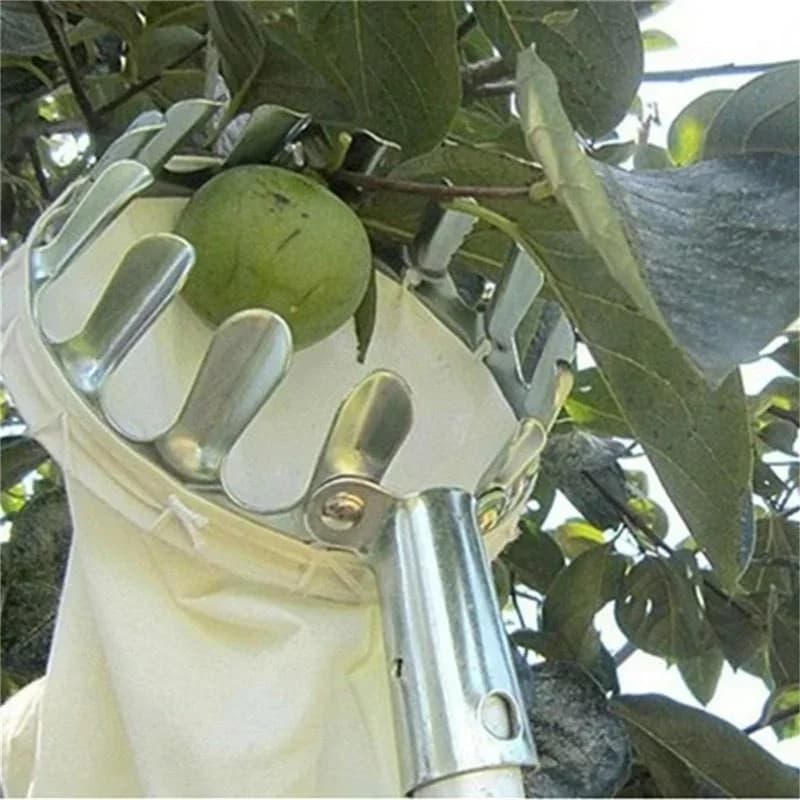 Pratico strumento per la raccolta della frutta con manico telescopico, forbici per la raccolta della frutta, attrezzo manuale per la raccolta di varie frutte, accessorio da giardino.