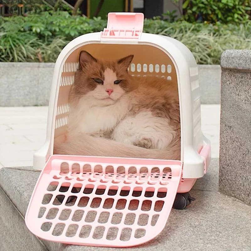 Trasportino portatile in plastica per animali domestici Scatola da trasporto durevole per animali domestici all'aperto per l'aviazione Essenziale per il trasporto di auto e auto per cani e gatti