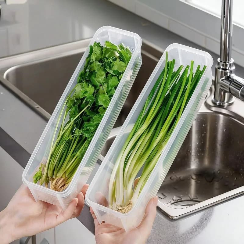 Contenitore per Conservazione Cipolle Verdi 1/2/4 Pezzi, Scatola in Plastica per Frigorifero con Coperchio, Contenitore Sigillato per Cipolle, Coriandolo e Uova