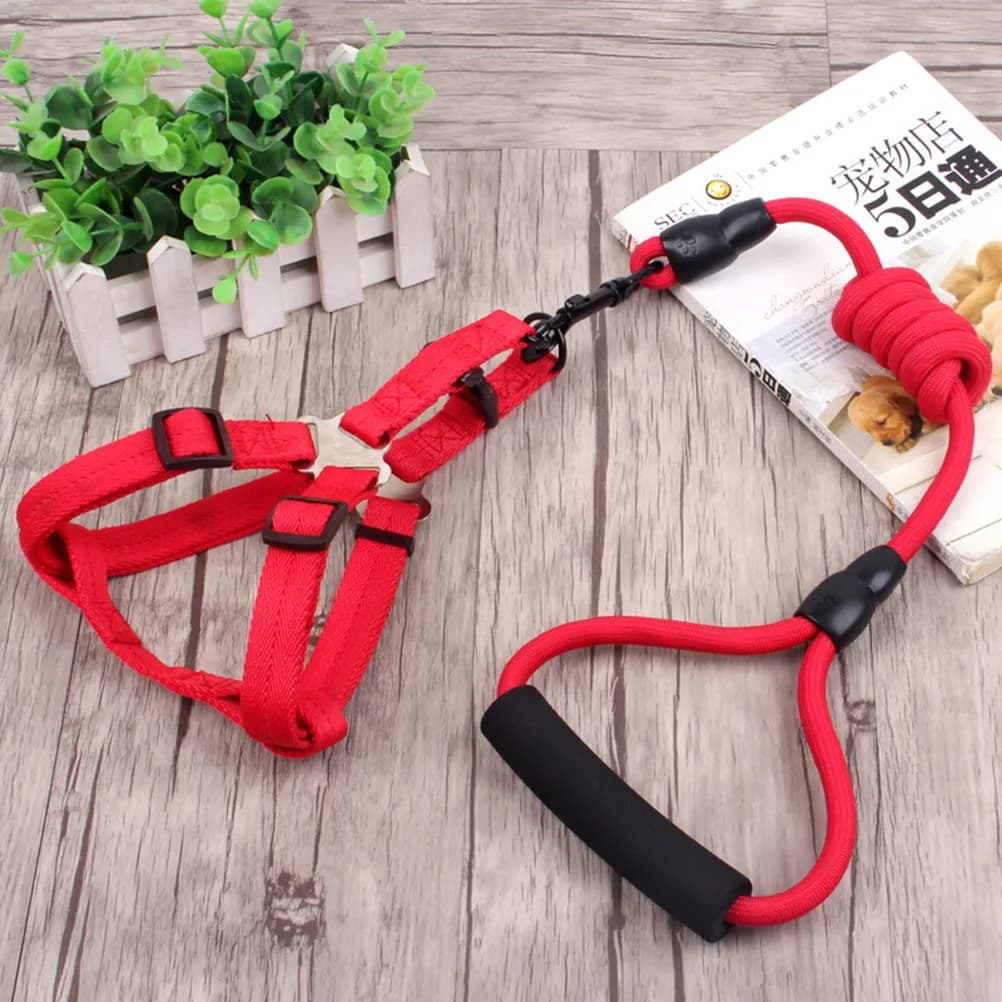 3Pcs Pet Harness Leash Set Collar Adjustable Dog Walking Running Kit 8mmx120cm Heavy Duty Strong Clasp Comfort Handle for Small
