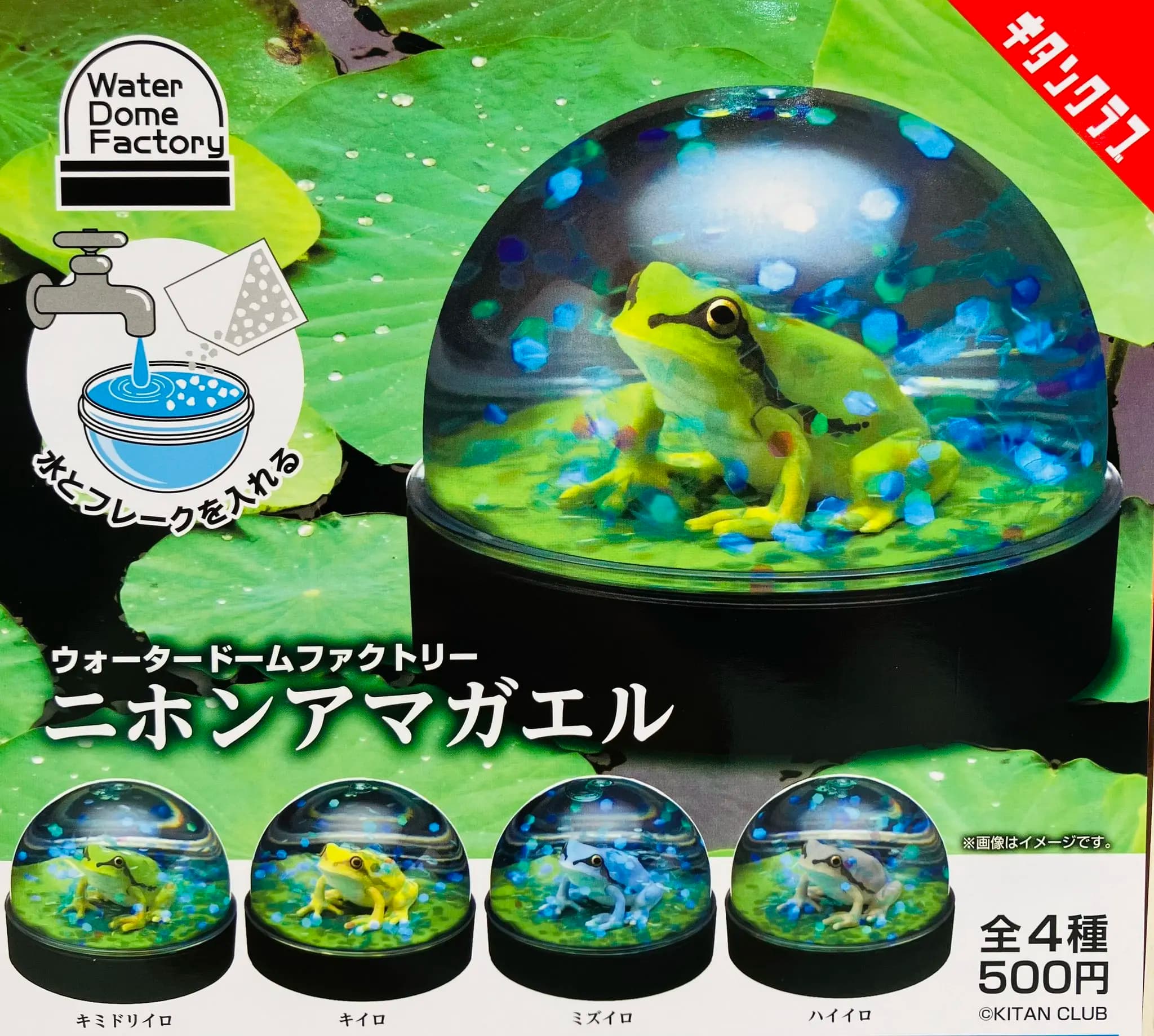 Origina capsule toys Water Dome Factory Japanese Tree Frog on otus leaf transparent sparkling flakes snow globe ornament figures