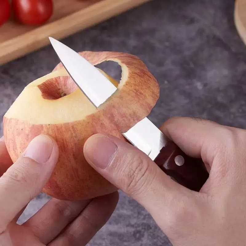 Coltello da frutta Coltello da cucina affilato in acciaio inossidabile Coltello per sbucciare le frutta Coltello con manico in plastica effetto legno perfetto per la cucina domestica