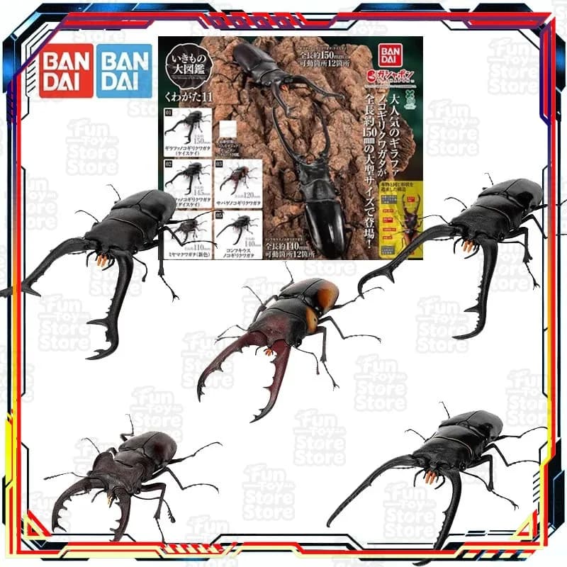 Bandai Tamashii Nations Kamen Rider Build Stag Beetle Action Figure Giocattolo Modello da Collezione per Ragazzi e Bambine Regalo