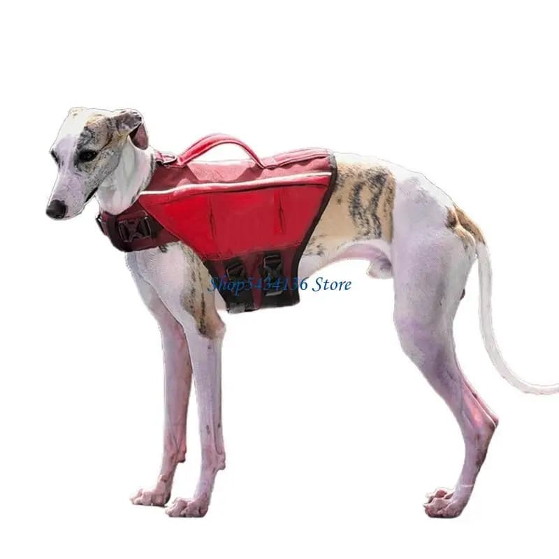 Costume da bagno per cani H7ED per gilet galleggiante per piscina, spiaggia e canottaggio