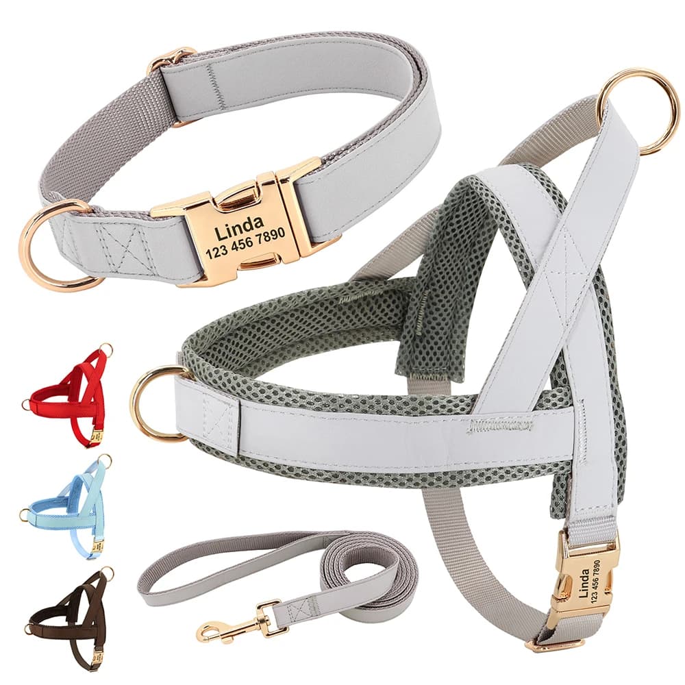 Set di guinzagli per collare per cani in pelle personalizzati Set di guinzagli per gilet in maglia per animali domestici cavi per animali domestici personalizzati per cani di taglia medio-piccola