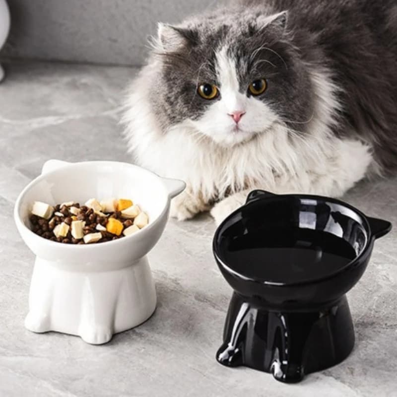 Ciotola rialzata per gatti, 1 pezzo, in plastica anti-ribaltamento con bordo inclinato, per protezione del collo, per cibo per gatti