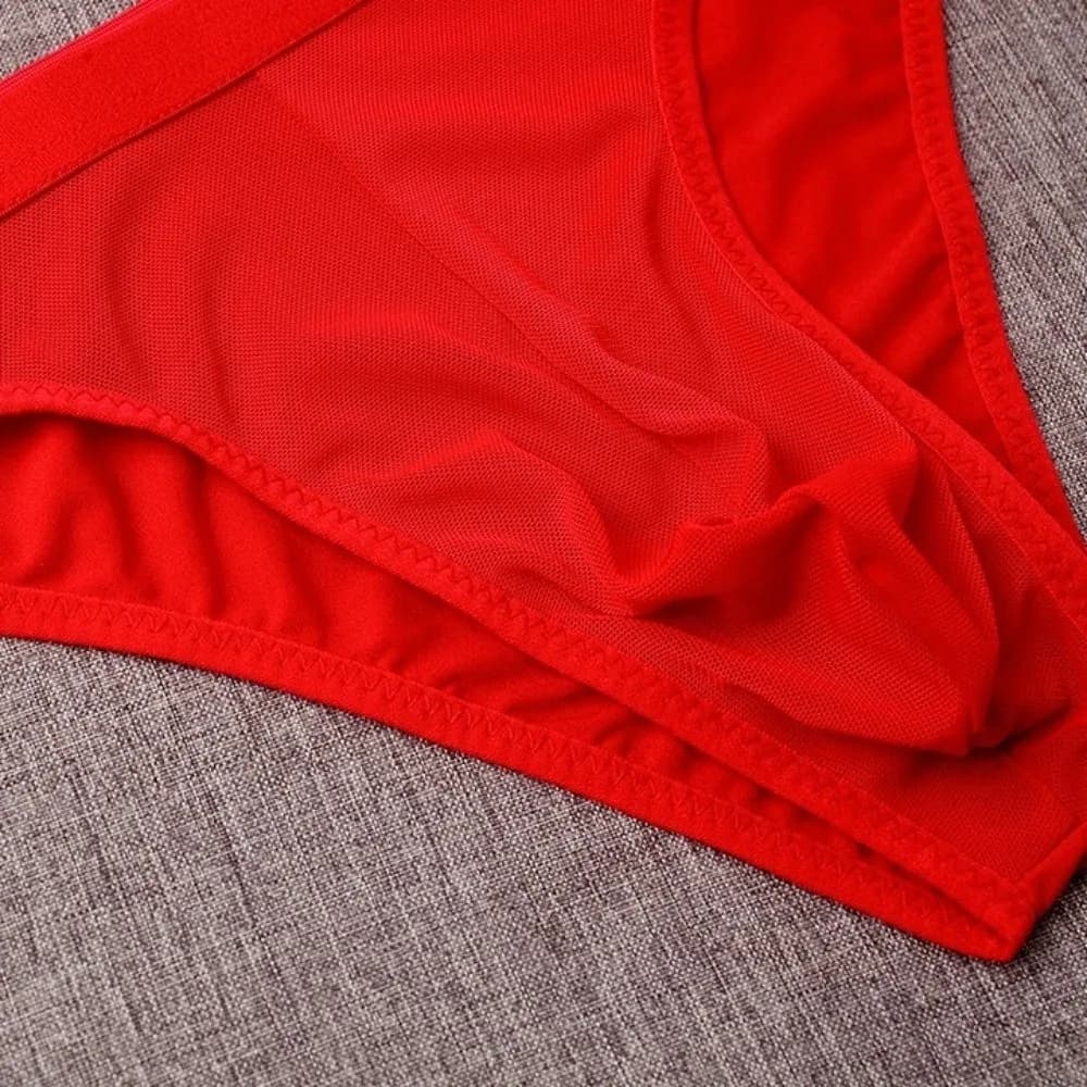 Fashion Lingerie Mesh Triangle Panties Low Waist Transparent Men Thin Briefs Breathable Thin Soft Underwear for Men Gifts
