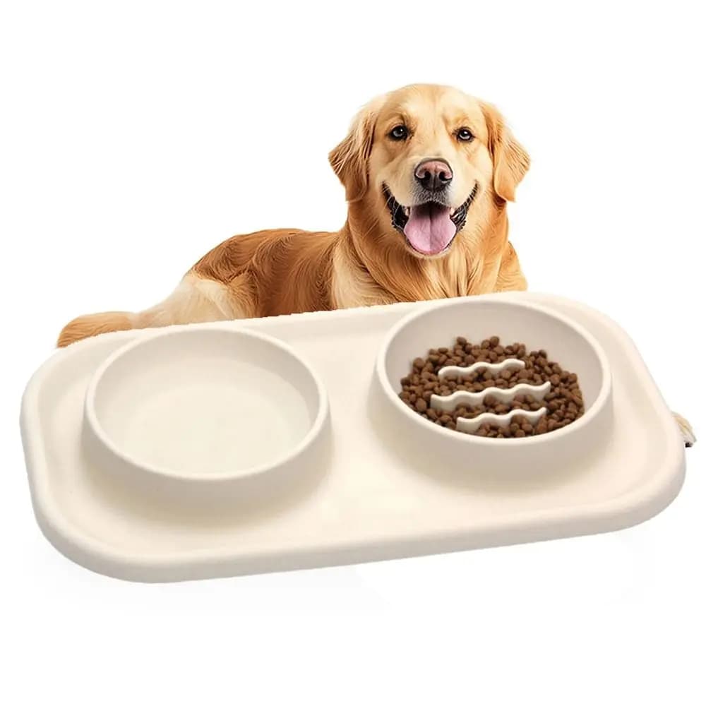 Ciotola Doppia Anti-ingozzamento Non Tossica per Animali Domestici, in Silicone Anti-ribaltamento di Grado Alimentare con Ciotola in Acciaio Inossidabile Anti-rottura