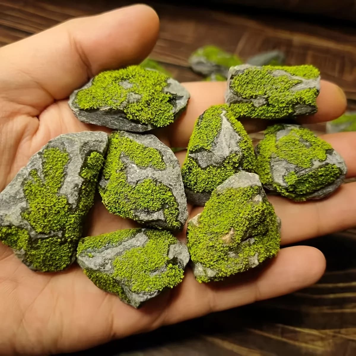 Handmade Forest Style Moss Stone Ornament Reptile Aquarium Fish Tank Landscaping Decor