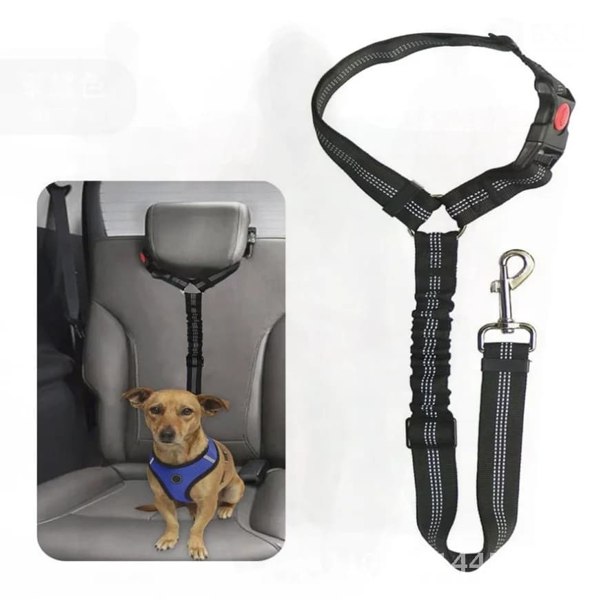 Forniture per animali domestici esplosione cintura di sicurezza per auto per animali domestici guinzaglio per cani retrattile guinzaglio per cani corda per cani