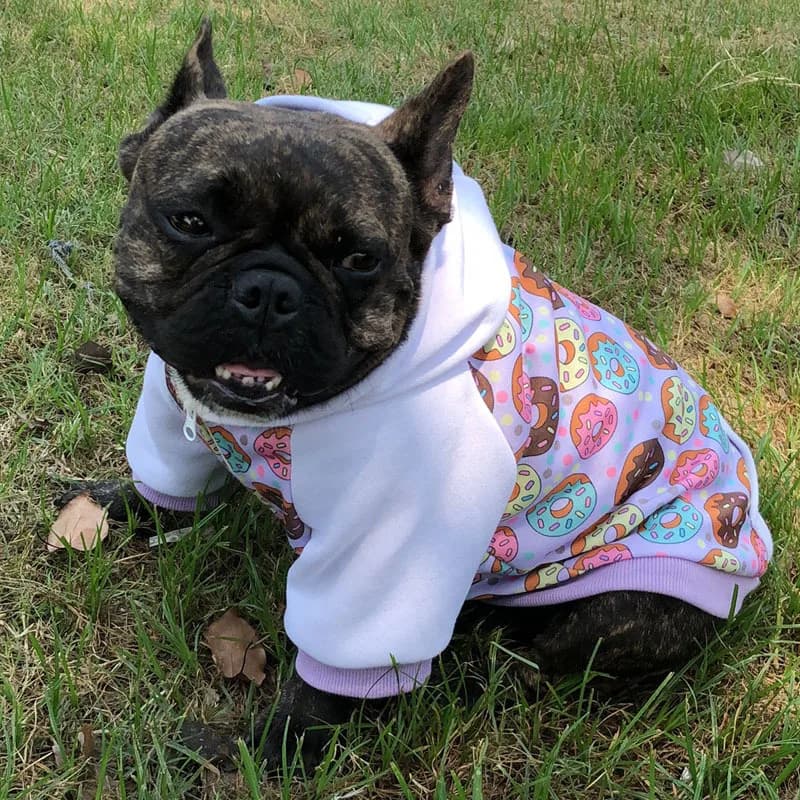 Pet Dog Cat Hoodie for Fall Winter, Donut Print Sweatshirt with Back Pocket Puppy Clothes for Medium & Small Dogs Teddy