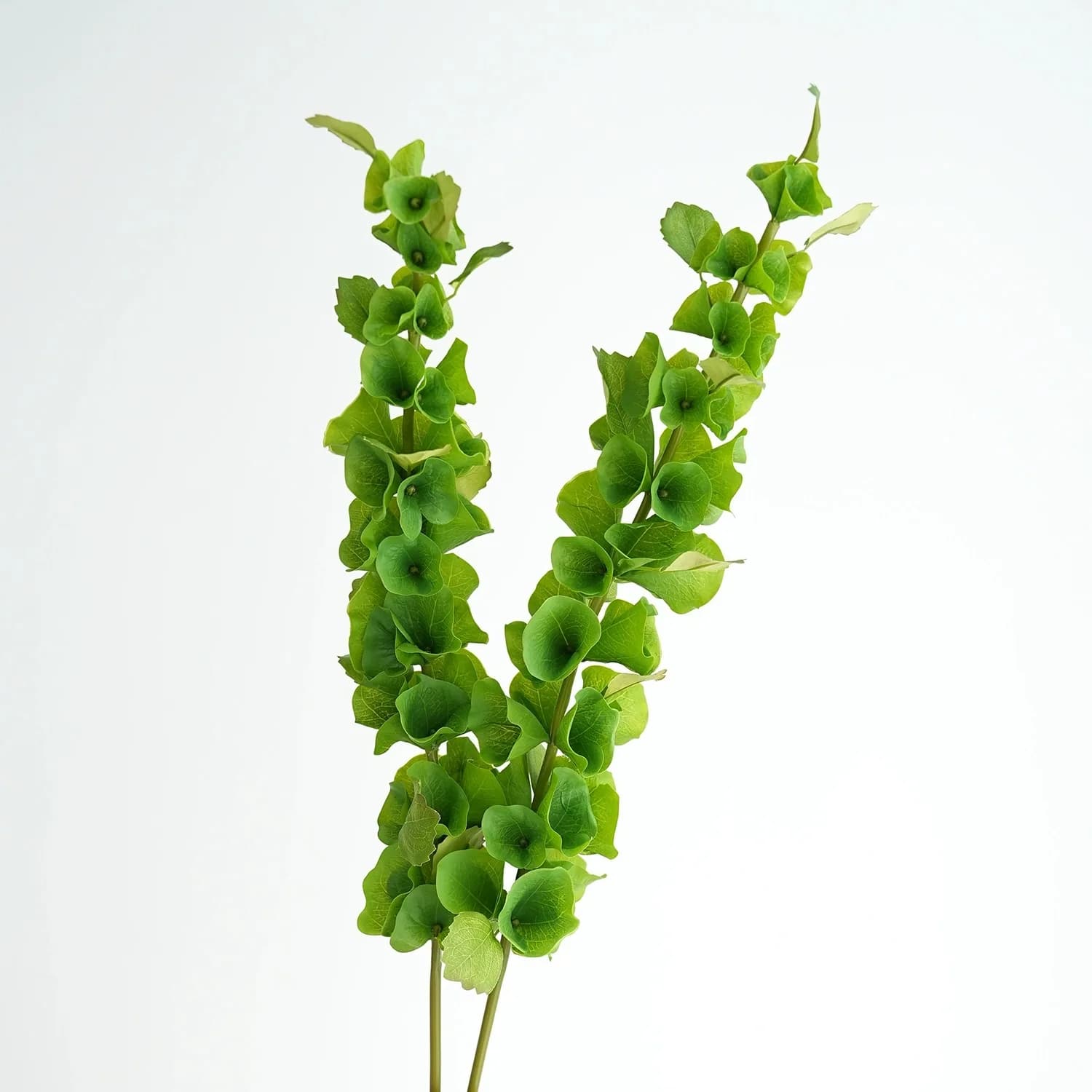 2 pezzi di fiori di conchiglia artificiale verde piante decorative in plastica a stelo lungo per la decorazione di interni di vasi per la casa o l'evento