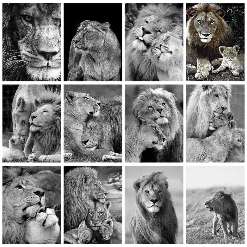GATYZTORY Oil Paint By Numbers Black And White Lions Adults Crafts Acrylic Paints Picture Painting On Canvas Diy Gift Home Decor