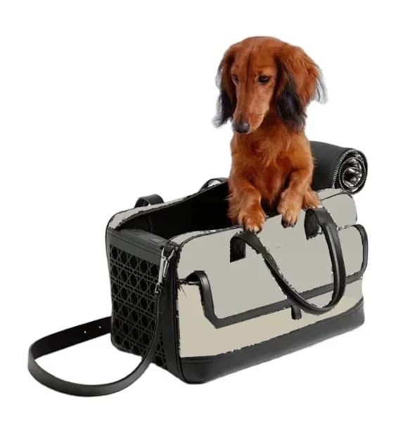 Marsupio per cani Elegante borsa da viaggio per animali domestici per cani e gatti Custodia da volo per custodia portatile per cuccioli Design stampato