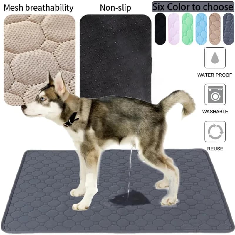 Tappetino Assorbente Riutilizzabile e Lavabile per Cani, Impermeabile per Auto, Pavimento, Divano, Addestramento Cuccioli e Gatti