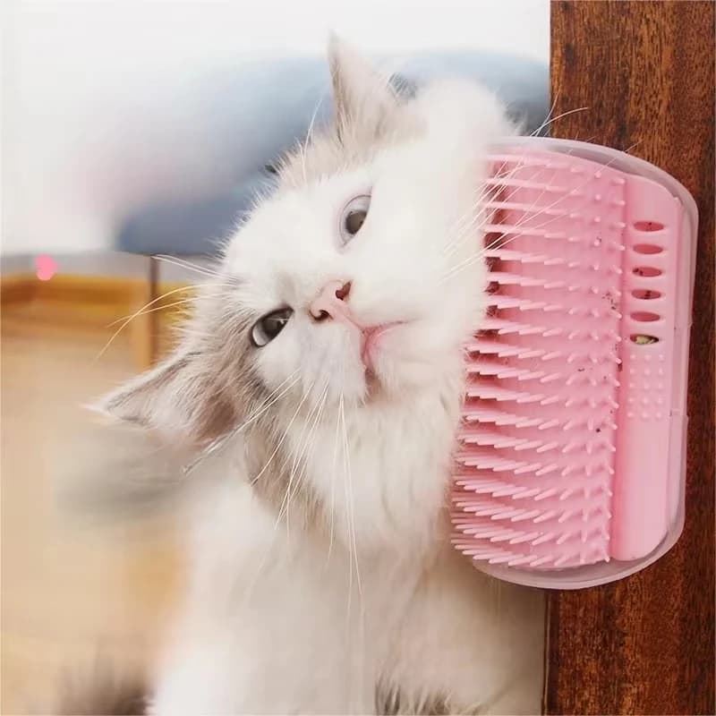 Anti-scratch massage combs for cats - Angular scratch-resistant brush with cat grass, hair removal combs, grooming