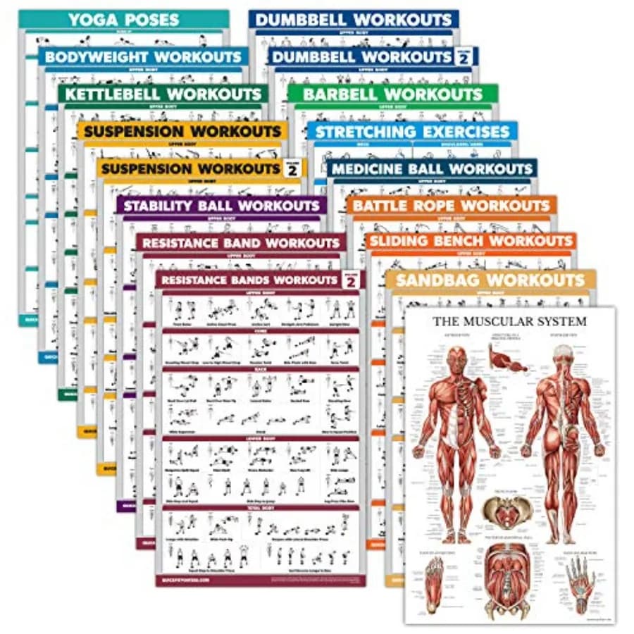 Set di 17 Poster per Esercizi: Manubri, Sospensioni, Kettlebell, Muscolazione, Palla Medica, Battle Rope, Bande di Resistenza, Stretching