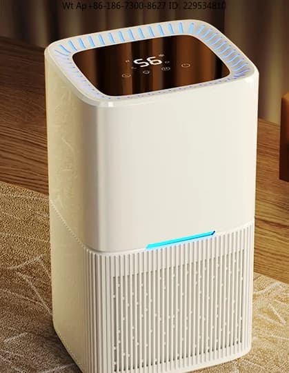 Deumidificatore con presa 110V, piccolo dispositivo domestico silenzioso e intelligente per la deumidificazione Huinantian