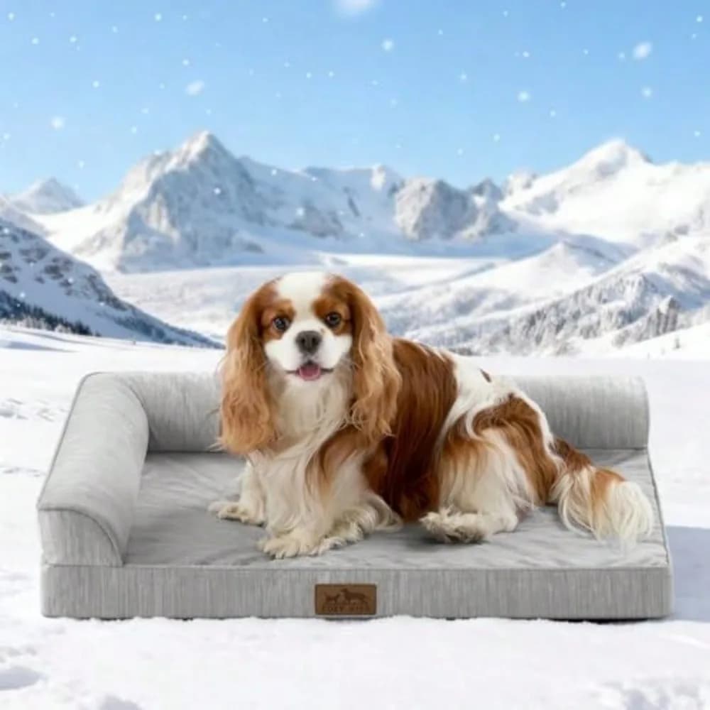Cuccia per cani con laterali rimovibili, rivestimento impermeabile e fondo antiscivolo, comoda cuccia per cani, colore grigio