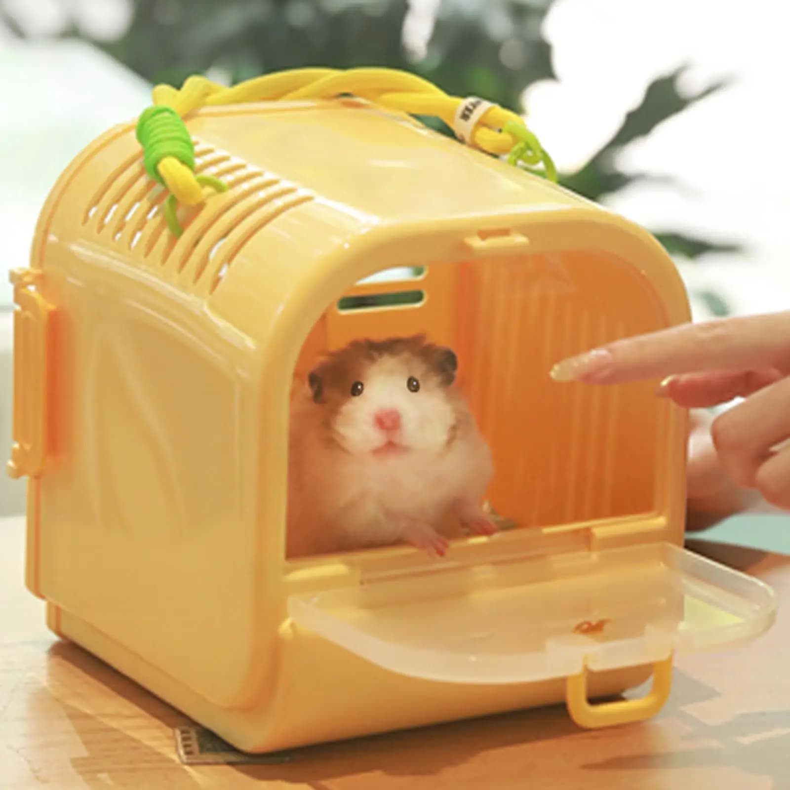 Gabbia portatile per criceti Gabbia trasparente per animali domestici in uscita Custodia per criceti per piccoli animali Cavia Chinchilla da viaggio