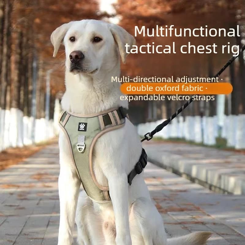 Large Dog Leash; Pet Dog Harness (Chest and Back Style) with Reflective Strips; Set-Chest Harness + Round Rope 2 M + LED Light