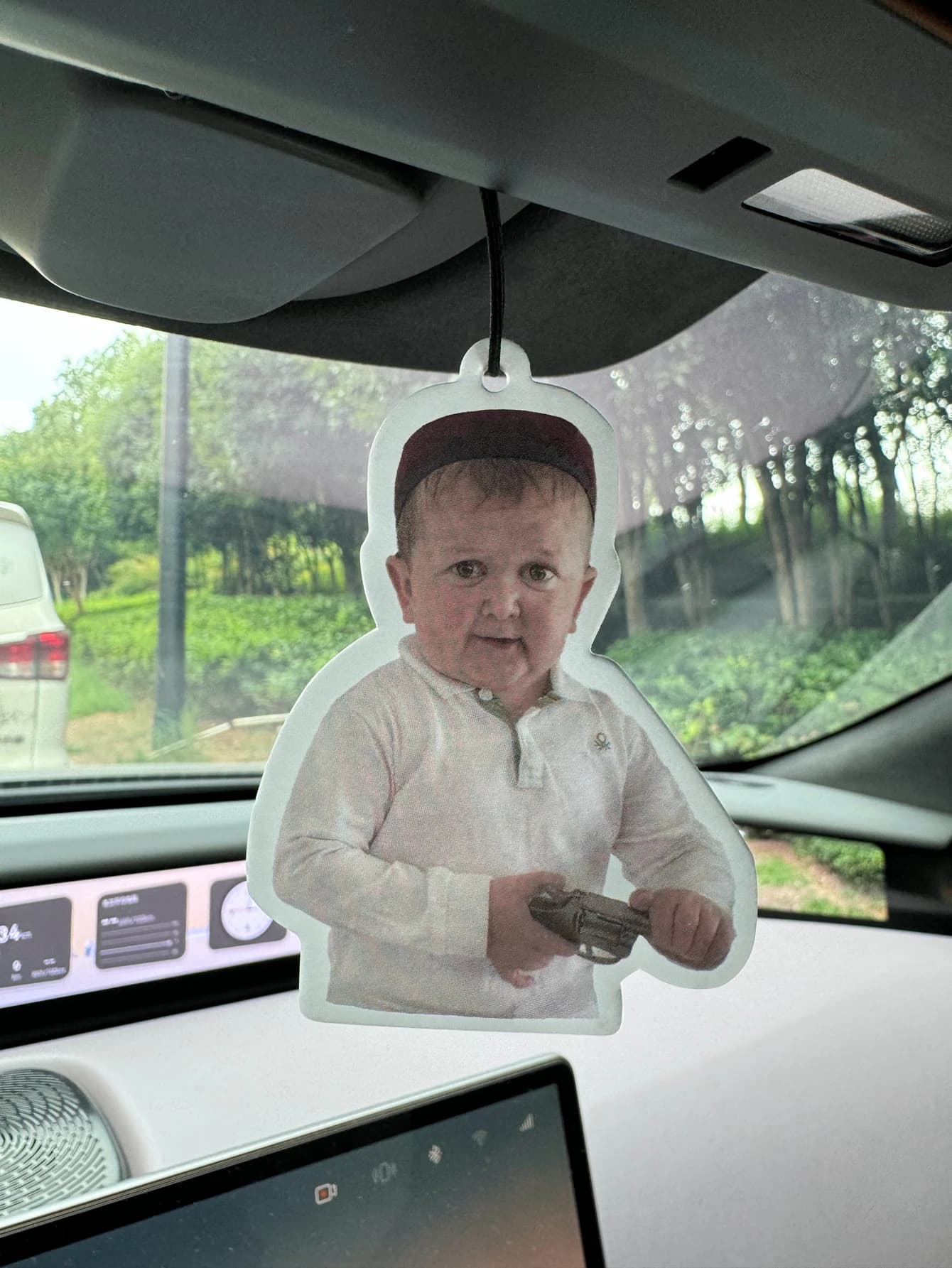 Hotel a cinque stelle Hilton, ciondolo deodorante per auto che dura 90 giorni, aromaterapia naturale Captain Hasbulla Emoticon divertenti