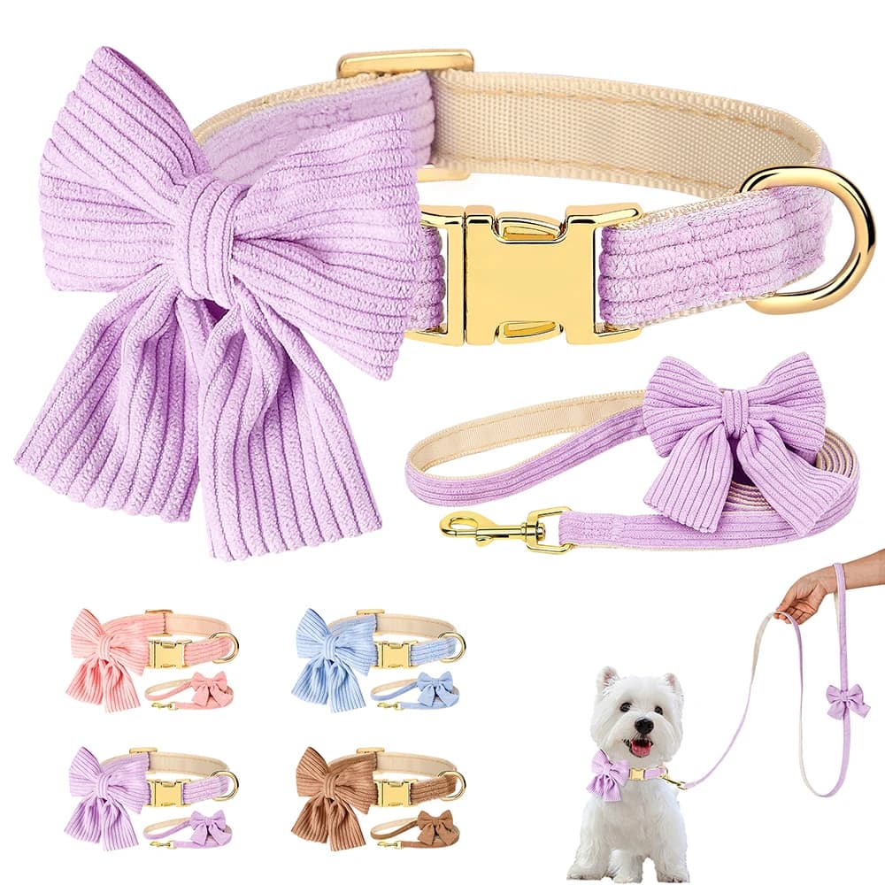 Collare per cani guinzaglio Set Cute Bowknot Puppy Dog collari Walking Lead Rope Soft Velvet Pet collana guinzagli per cani di piccola taglia media