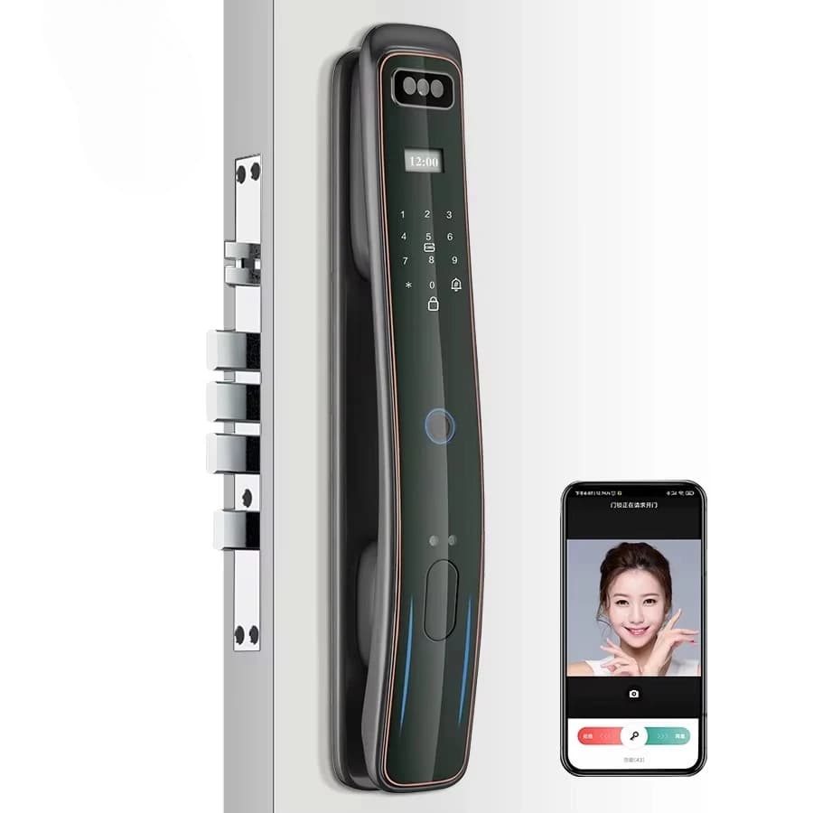Riconoscimento delle impronte digitali del volto della serratura della telecamera per porta intelligente biometrica elettrica per porte in legno in acciaio alluminio compatibile WiFi