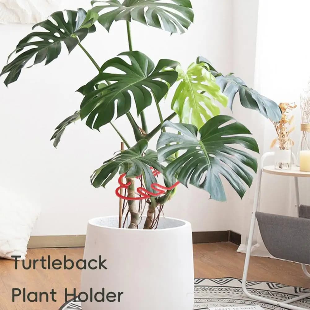 Support for plants Support for leaf-shaped flowers Monstera for vertical growth Easy to install stem support for indoor and outdoor pot plants