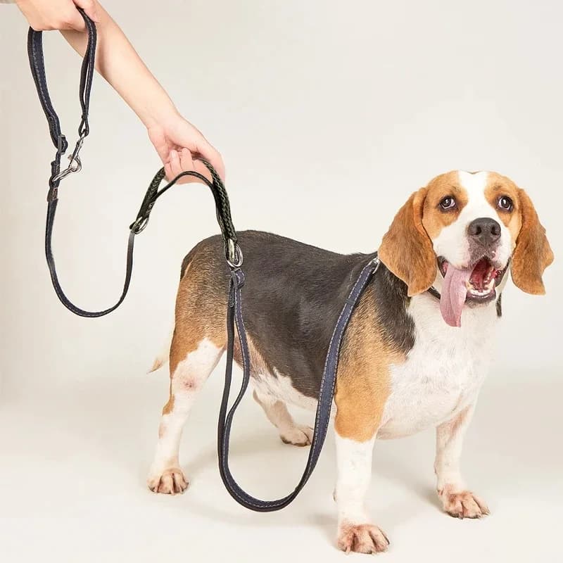 Guinzaglio multifunzionale per cani in tessuto Jean lunghezza regolabile mani libere guinzaglio a doppia testa per cani di taglia piccola e media che camminano in esecuzione
