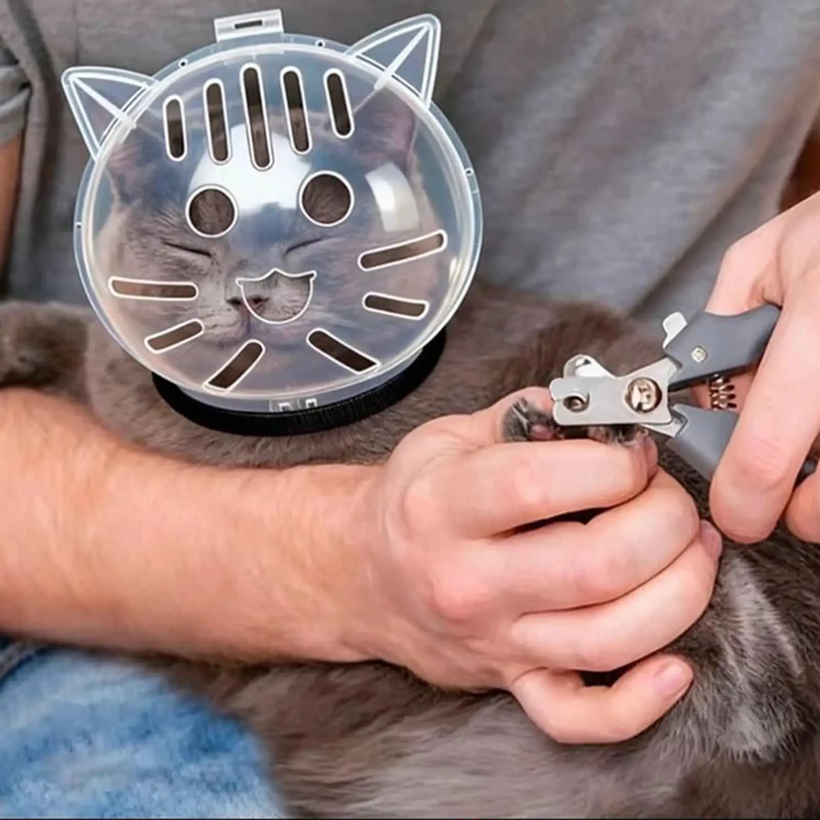 Maschera a bolle traspirante per gatti, cappuccio regolabile per animali domestici, copertura per la testa per il bagno, la perdita di pelo, la taglio delle unghie e la doccia