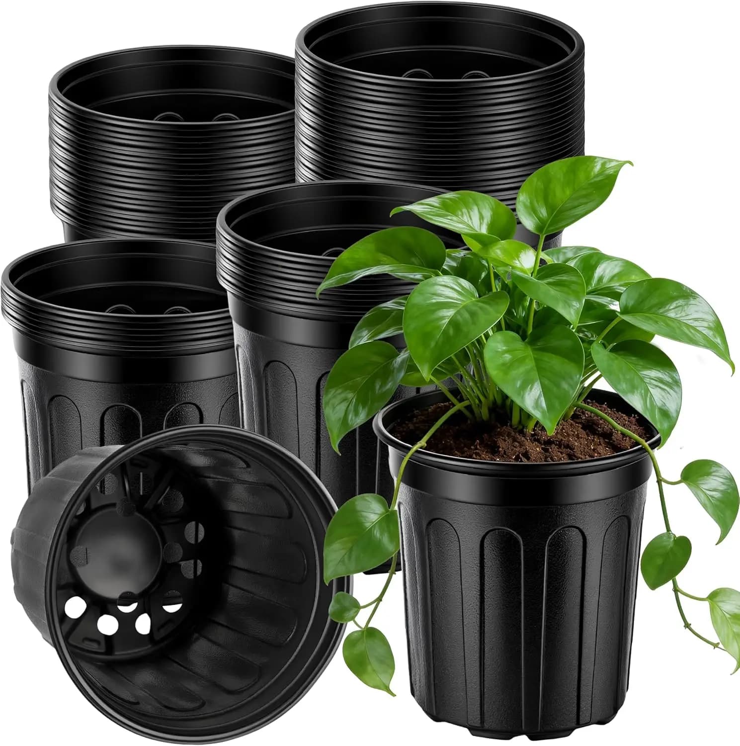 Confezione da 65 Vasi in Plastica da 1 Gallone per Semina e Coltivazione con Fori di Drenaggio per Piantine, Fiori e Verdure
