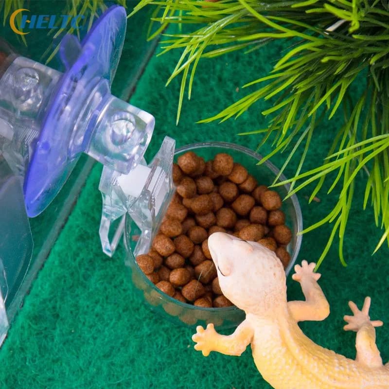 Ciotola per acqua e cibo per rettili con ventosa, vassoio per gechi, lucertole, ragni, rane da albero, decorazione per habitat, accessori per animali domestici