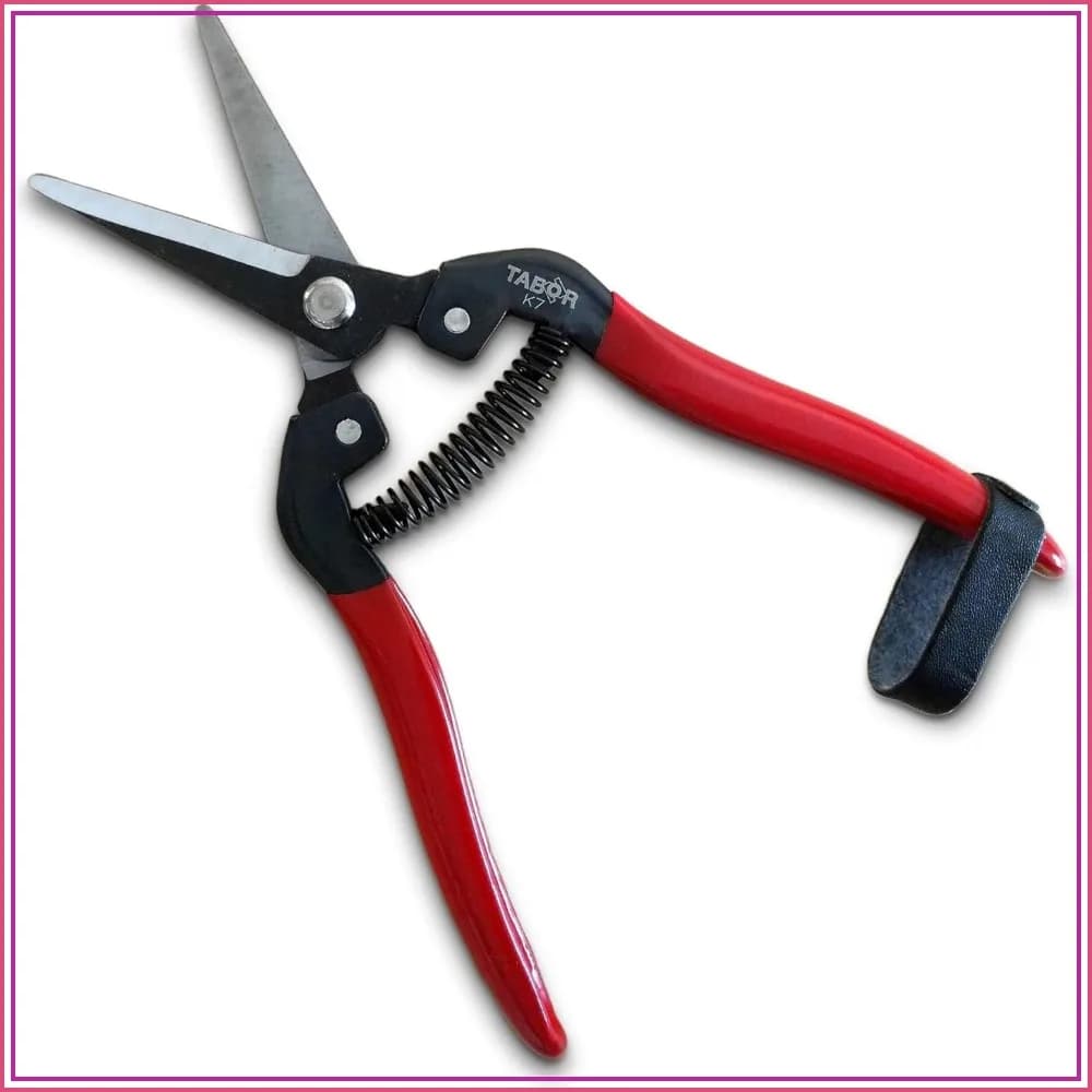 Straight Pruning Shears with Carbon Steel Blades, Florist Scissors, Multi-Tasking Garden Snips for Arranging Flowers, Trimming Plants, Harvesting Herbs, Fruits or Vegetables