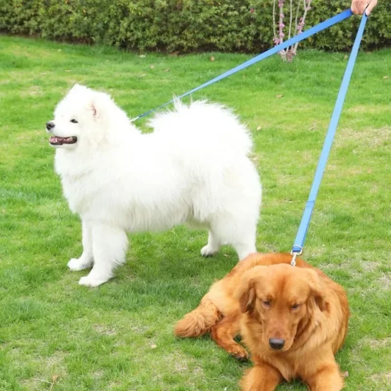 Guinzaglio doppio regolabile a mani libere da 230 cm, accessorio multifunzionale in nylon per animali domestici, per passeggiate e corsa con 2 guinzagli.